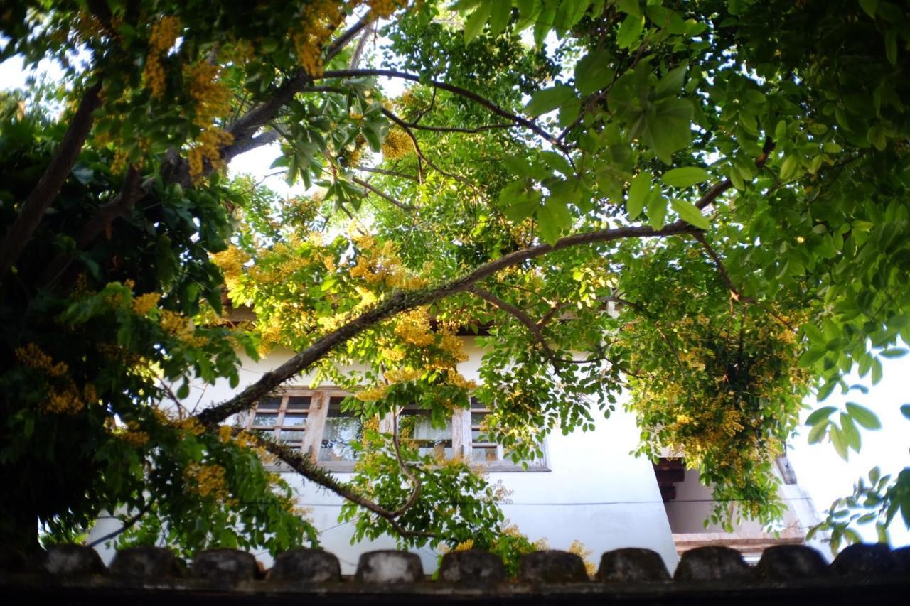 Mali Home Hoi An Eksteriør bilde